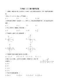 广东省深圳市五校联考2024—-2025学年上学期八年级期中数学试卷