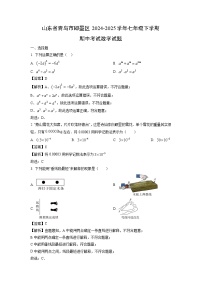 山东省青岛市即墨区2024-2025学年七年级下学期期中考试数学试题（解析版）