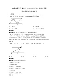 山东省临沂市临沭县2024-2025学年七年级下学期期中阶段检测数学试题（解析版）