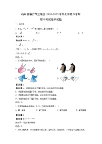 山东省临沂市兰陵县2024-2025学年七年级下学期期中考试数学试题（解析版）