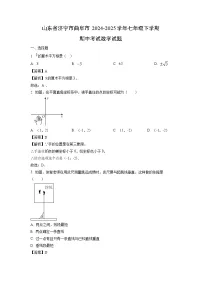 山东省济宁市曲阜市2024-2025学年七年级下学期期中考试数学试题（解析版）