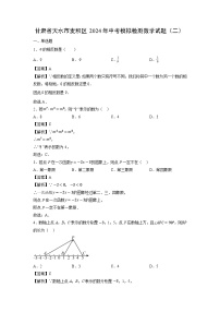 甘肃省天水市麦积区2024年中考模拟检测（二）数学试题（解析版）