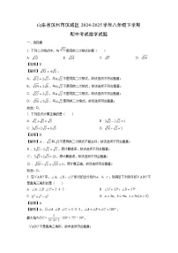 山东省滨州市滨城区2024-2025学年八年级下学期期中考试数学试题（解析版）