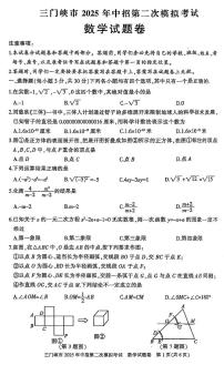 2025年河南省三门峡市中考二模数学试卷含答案
