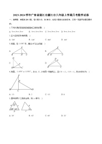 广东省湛江市廉江市2023-2024学年八年级上学期月考数学试卷