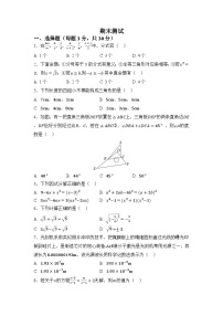 湘教版（2024）八年级数学上册 期末测试（试卷含答案）