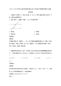 2022-2023学年山东济南东南片区七年级下册数学期中试卷及答案