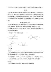 2023-2024学年山东济南高新区七年级下册数学期中试卷及答案