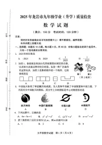 2025年福建省龙岩市中考一模数学试题（中考模拟）