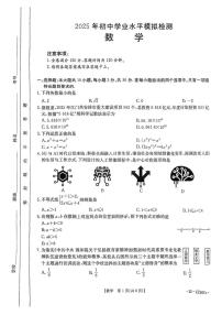 2025年广东省江门市新会区九年级中考二模数学试卷（中考模拟）