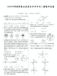 2025年河南省平顶山市鲁山县部分中学中考三模数学试卷（中考模拟）