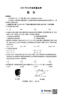 2025年河南省驻马店市驿城区部分初中联考一模数学试题（中考模拟）