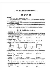 2025年黑龙江省哈尔滨市南岗区九年级中考复习情况调研三数学试题(二模)（中考模拟）
