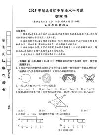 2025年湖北省武汉市武汉经开外国语学校初中学业水平考试数学试题（中考模拟）