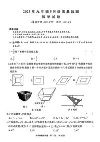2025年湖北省襄阳部分学校九年级中考数学适应性考试（中考模拟）