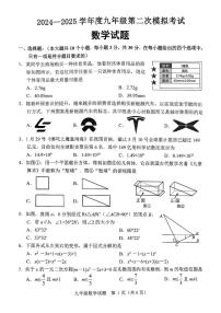 2025年山东省济宁市鱼台县中考 二模数学试题（中考模拟）