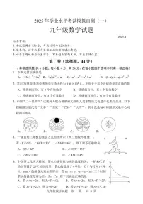 2025年山东省潍坊安丘市中考一模数学试题（中考模拟）