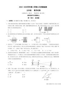 2025年3月深圳市南山外国语学校集团初三3月质量监测数学试卷及参考答案
