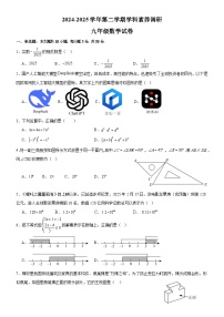 广东省中山市中山纪念中学教育集团2025届九年级二模 数学试题