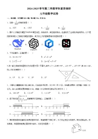 广东省中山市中山纪念中学教育集团2025届九年级二模 数学试题