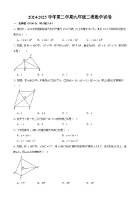 甘肃省武威市凉州区武威十七中学、十二中学2025届中考二模 数学试题