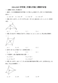 甘肃省武威市凉州区武威十七中学、十二中学2025届中考二模 数学试题