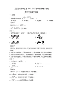 山东省日照市莒县2024-2025学年七年级下学期期中考试数学试卷（解析版）