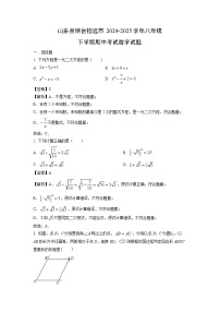 山东省烟台招远市2024-2025学年八年级下学期期中考试数学试卷（解析版）