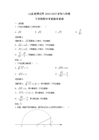 山东省潍坊市2024-2025学年八年级下学期期中考试数学试卷（解析版）