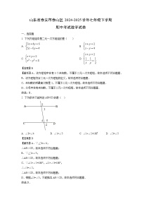 山东省泰安市泰山区2024-2025学年七年级下学期期中考试数学试卷（解析版）