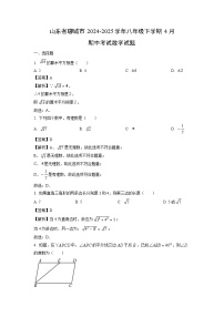 山东省聊城市2024-2025学年八年级下学期4月期中考试数学试卷（解析版）