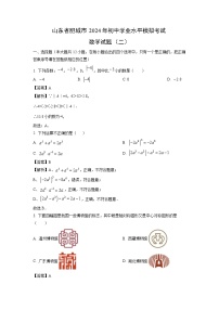 山东省肥城市2024年初中学业水平模拟考试（二）数学试卷（解析版）