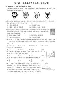 湖北武汉2025年中考数学适应性考试题（一）+答案