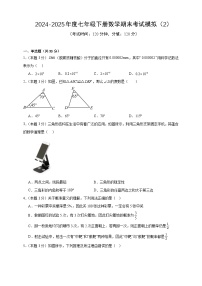 2024-2025年度七年级下册数学期末考试模拟（2）