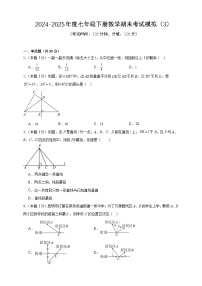 2024-2025年度七年级下册数学期末考试模拟（3）