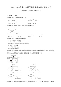2024-2025年度七年级下册数学期末考试模拟（1）