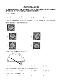 广西壮族自治区防城港市2025年七年级下学期期末数学试题及答案