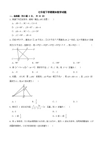 浙江省宁波市鄞州区2025年七年级下学期期末数学试题及答案