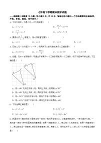 浙江省绍兴市越城区2025年七年级下学期期末数学试题及答案