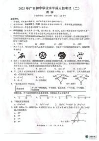 2025年广西贺州市昭平县中考二模数学试题（中考模拟）