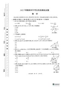 2025年甘肃省陇南市中考模拟预测数学试题（中考模拟）