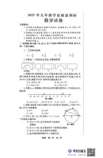2025年河南省新乡市辉县市中考二模数学试卷（中考模拟）