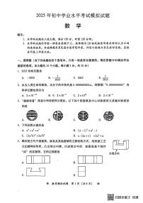 2025年湖南省衡阳市二模数学试题（中考模拟）