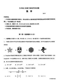 2025年山东省临沂市蒙阴县九年级二模考试数学试题（中考模拟）