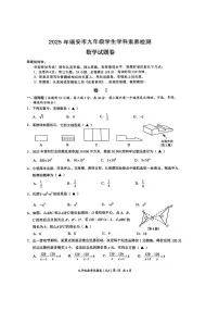 2025浙江省温州市瑞安市九年级中考二模数学试卷（中考模拟）