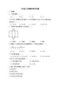 北京市育才学校2024-2025学年七年级上学期期中 数学试题