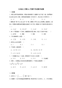 四川省成都市七中育才学校2024-2025学年七年级上学期11月期中 数学试题（含解析）