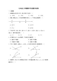 河北省石家庄市第九中学2024-2025学年七年级上学期期中 数学试卷（含解析）