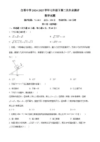 四川省南充市白塔中学2024-2025学年七年级下学期5月期中考试 数学试题