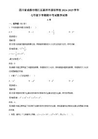 四川省成都市锦江区嘉祥外国语学校2024-2025学年七年级下学期期中考试 数学试卷（含解析）